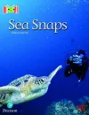 Bug Club Reading Corner: Age 5-7: Sea Snaps cover