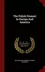 The Polish Peasant in Europe and America cover