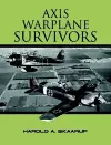 Axis Warplane Survivors cover