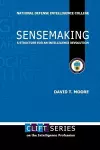 Sensemaking: A Structure for an Intelligence Revolution cover