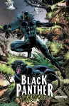 Black Panther: Panther's Quest cover