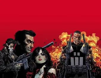 Marvel Knights: Punisher cover