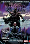 Black Panther Vol. 4: The Intergalactic Empire Of Wakanda Part Two cover