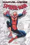 Marvel-Verse: Spider-Man cover