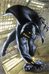Black Panther By Christopher Priest Omnibus Vol. 1 cover