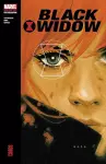 Black Widow Modern Era Epic Collection: Chaos cover