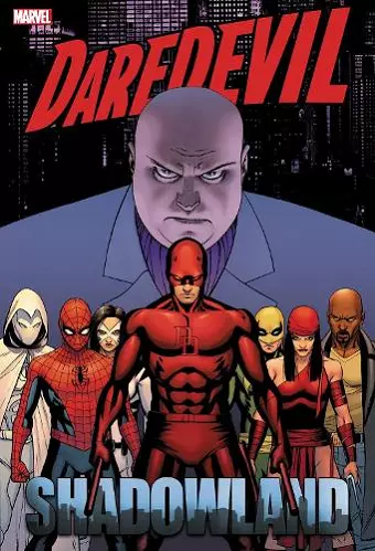 Daredevil: Shadowland Omnibus Cassaday Cover (New Printing) cover