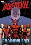 Daredevil: Shadowland Omnibus Cassaday Cover (New Printing) cover