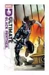 Ultimate Black Panther By Bryan Hill Vol. 4: Destiny and Destruction cover