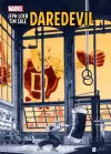 Jeph Loeb & Tim Sale: Daredevil cover