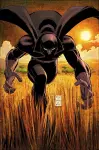 Black Panther by Reginald Hudlin Omnibus cover