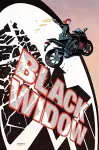 Black Widow & Captain America By Waid & Samnee Omnibus cover