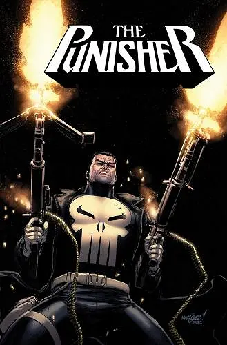 Punisher Vol. 1: The Jigsaw Agenda cover