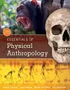 Essentials of Physical Anthropology cover