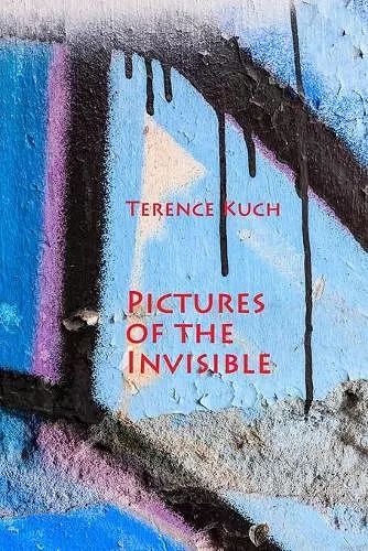 Pictures of the Invisible cover