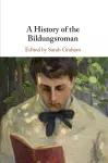 A History of the Bildungsroman cover