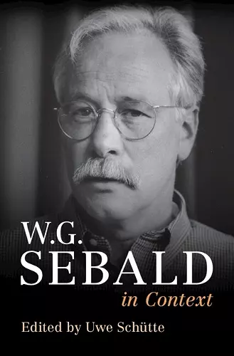 W. G. Sebald in Context cover