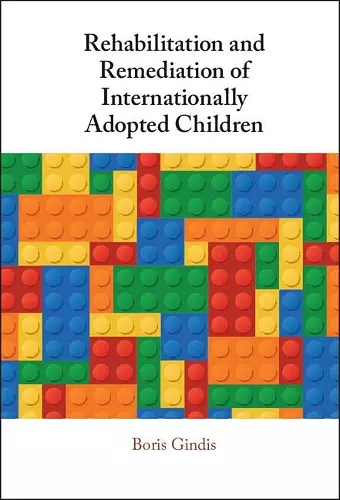 Rehabilitation and Remediation of Internationally Adopted Children cover