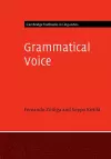 Grammatical Voice cover