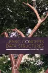 Basic Concepts in Data Structures cover