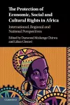 The Protection of Economic, Social and Cultural Rights in Africa cover