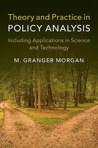 Theory and Practice in Policy Analysis cover