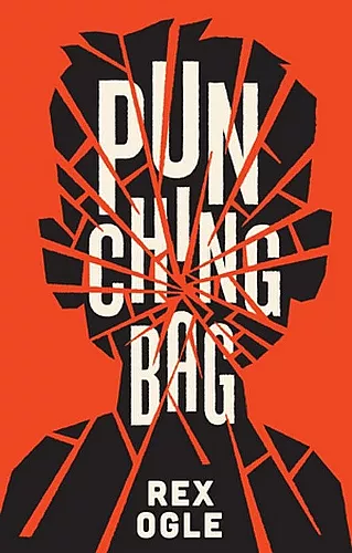 Punching Bag cover