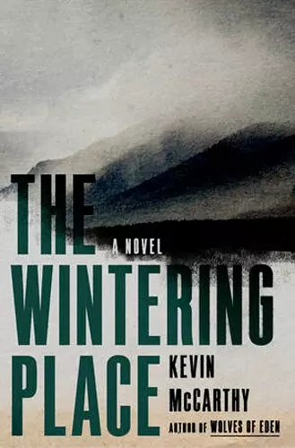 The Wintering Place cover