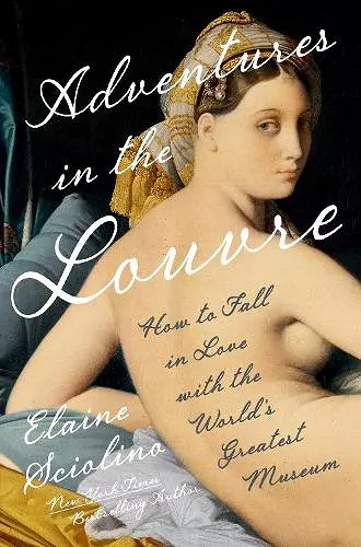 Adventures in the Louvre cover