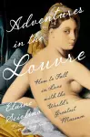 Adventures in the Louvre cover