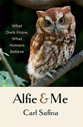 Alfie and Me cover