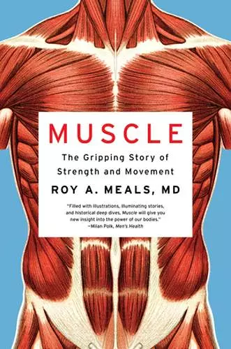 Muscle cover