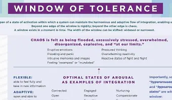 Window of Tolerance Laminated Card cover