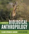 Essentials of Biological Anthropology cover