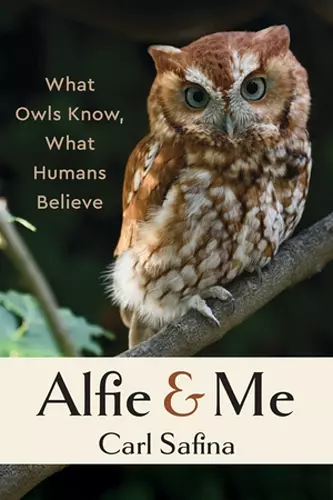 Alfie and Me cover