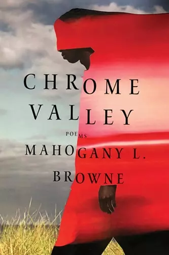 Chrome Valley cover