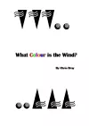 What Colour is the Wind? cover