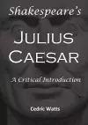 Shakespeare’s 'Julius Caesar': A Critical Introduction cover