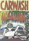 Carwash cover