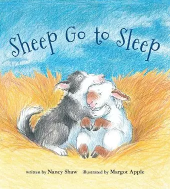 Sheep Go to Sleep (lap board book) cover