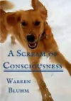 A Scream of Consciousness cover