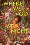 Where We Go at Night cover