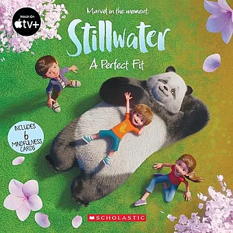 Stillwater: A Perfect Fit cover