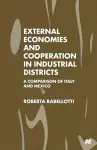 External Economies and Cooperation in Industrial Districts cover