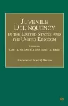 Juvenile Delinquency in the United States and the United Kingdom cover