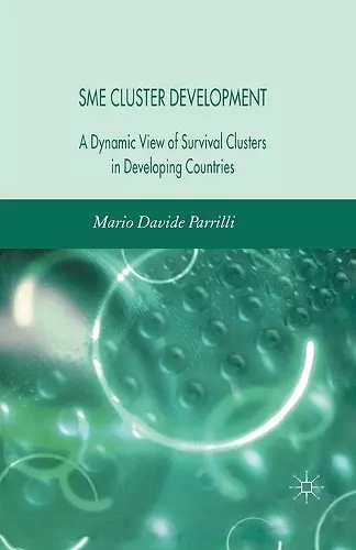 SME Cluster Development cover