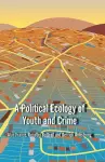 A Political Ecology of Youth and Crime cover