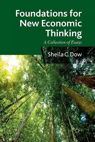 Foundations for New Economic Thinking cover