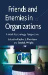 Friends and Enemies in Organizations cover