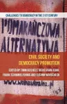 Civil Society and Democracy Promotion cover